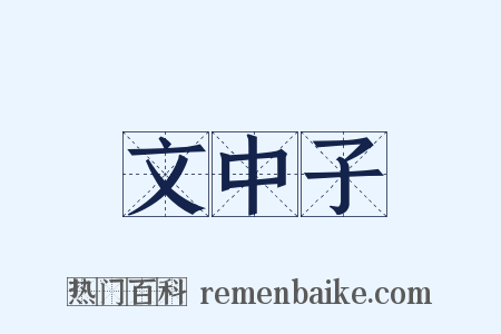 文中子是什么意思的图片